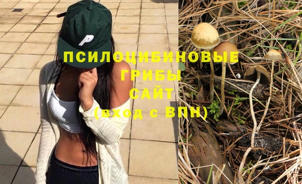 крисы Абдулино
